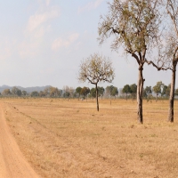 Mikumi National Park, Mikumi Tanzania