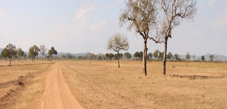 Mikumi National Park, Mikumi Tanzania - national, trees, tanzania, mikumi, nature, dirt, field, sky, park