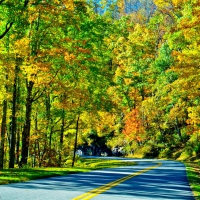 Beautiful bright Autumn road!