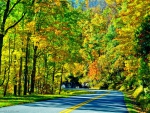 Beautiful bright Autumn road!