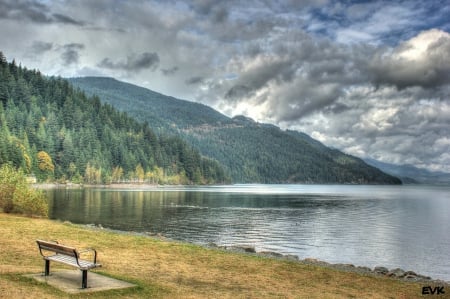 Stunning Nature view from bench! - nature, bench, lake, forest, sky