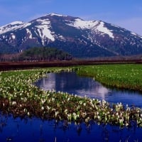 Oze National Park, Gunma Japan