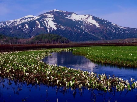 Oze National Park, Gunma Japan