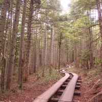 Oze National Park, Gunma Japan