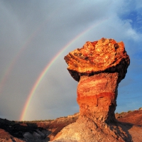 Petrified Forest National Park, Arizona