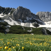 Pirin National Park, Bulgaria