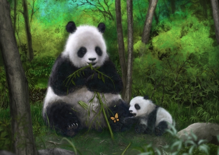 Pandas - panda, art, cute, bear