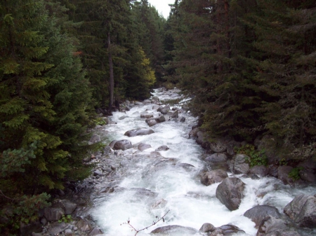 Pirin National Park, Bulgaria, - national, trees, water, pirin, forest, river, white, nature, green, flowing, bulgaria, park, rocks