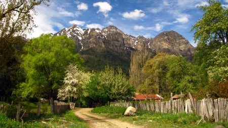 ROAD TO NATIONAL PARK - clouds, trees, hills, snow, fence, country road, grove, landscapes, Chile