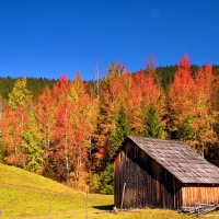 Hut in autumn mountain