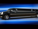 A Limousine