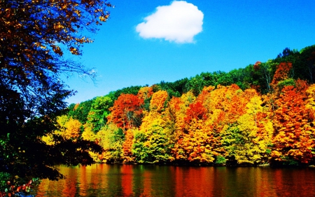 Lake Reflections - fall, trees, autumn, colors, leaves