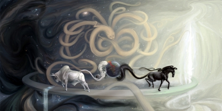 Unicorns - fantasy, art, horse, unicorn