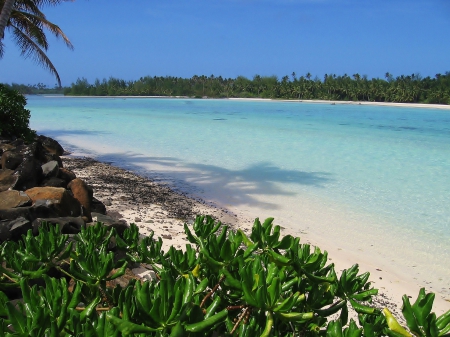 Beautiful South Pacific beach - beach, pacific, paradise, raratonga, lagoon, south, cook, sand, ocean, islands, tropical, plants, exotic, blue, beautiful, rarotonga, island, fiji, sea