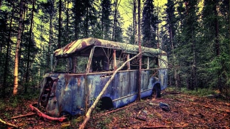 wrecked bus abandoned in a forest - branches, wreck, forest, clearing, bus