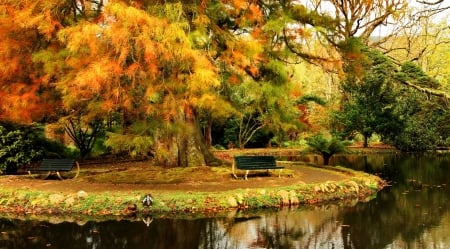 Autumn rest - pretty, quiet, relax, tranquil, reflection, leaves, calmness, shore, bench, lake, nice, falling, trees, water, beautiful, pond, mirrored, lovely, rest, fall, nature, seat, autumn, serenity, peaceful, park, silent