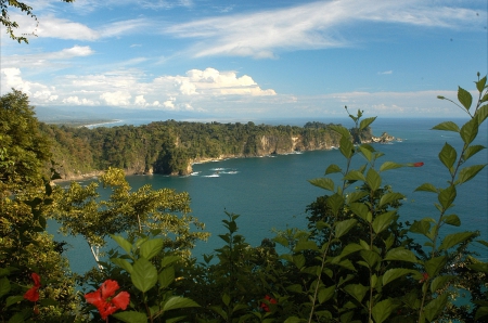 Carara National Park, Costa Rico - sky, water, national, clouds, costa, green, lake, mountain, park, plants, nature, red, blue, carara, leaves, flowers, rico