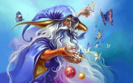 BUTTERFLY WIZARD - white, beard, hat, wizard, magic, long