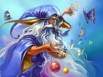 BUTTERFLY WIZARD