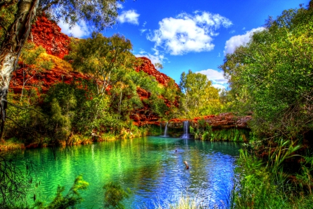 BEAUTIFUL PARK - wyoming, landscape, national parks, river, hdr, usa, grand teton