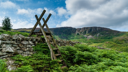 ladder over stone walls on fields in wales - fields, ladder, walls, mountain, stones