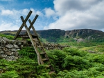 ladder over stone walls on fields in wales