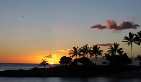 Hawaiian sunset - ocean front, hawaii, sunset, beach