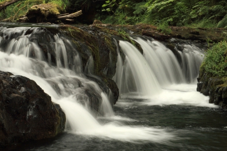 Silver Falls State Park, Oregon - waterfalls, water, falls, rock, leaves, oregon, white, nature, silver, state, park