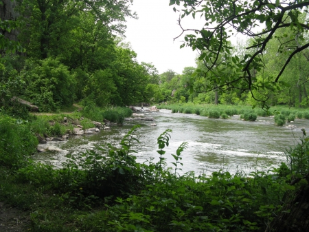 Sioux Falls State Park, South Dakota - trees, water, falls, forest, leaves, dakota, river, sioux, nature, green, plants, state, sky, park, south