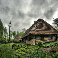 gardens around thatched homes