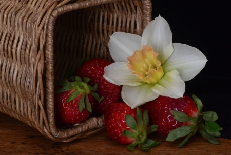 *** Narcissus and strawberries *** - flowers, nature, strawberries, narcissus