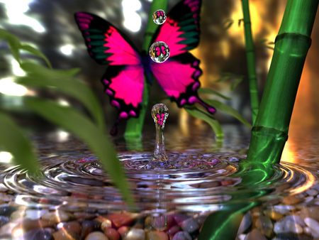 High-Speed Butterfly - speed, water, high, drops, grass, photo, flower, pink, green, butterfly