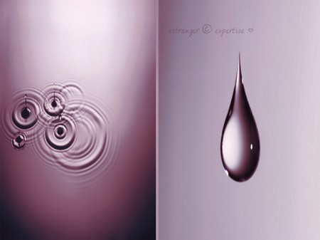 Drops Of Wisdom - photography, abstract