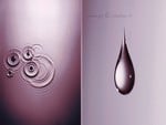 Drops Of Wisdom