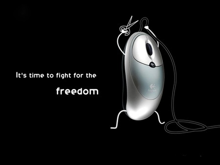 FIGHT for FREEDOM - fight, freedom, for