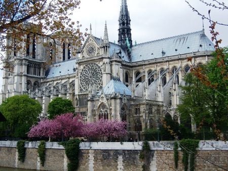 	A View To Never Forget - flowers, forget, castle, view