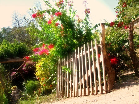 	Casa con Jaulas - flowers, house, garden, door