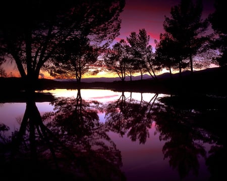 PURPLE SUNSET - beauty, trees, sun, peaceful, water, wet, sunset, nature, purple, dusk