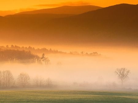 MISTY MORNING - misty, sunrise, nature, fields