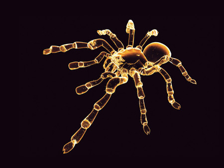 neon spider - nature, scary, animals, 3d