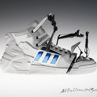 Shoe robot...