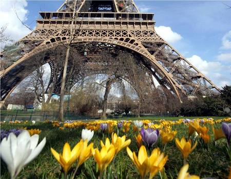 Eiffel Tower - flowers, france, eiffel tower, garden