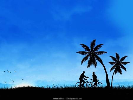 Romantic Silhouette - palm trees, silhouette, couple, night, bicycles