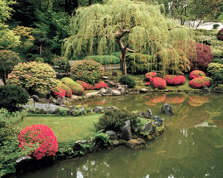 Hints of Japan - serene, flowers, pond, japanese garden