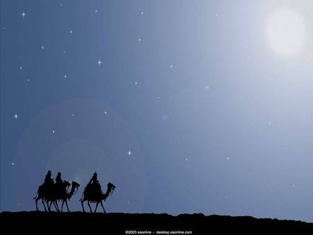 Under the starry skies - stars, camels, silhouette, night, moonlight