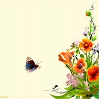 Flowers and Butterfly