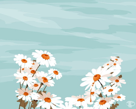 White Daisies - white daisies, art, flowers