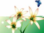 Butterfly and Lilies