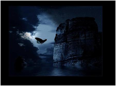 Night Butterfly - night, butterfly, darkness, blue sky