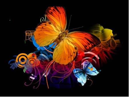 Butterfly Beauty - butterfly, circles, swirls